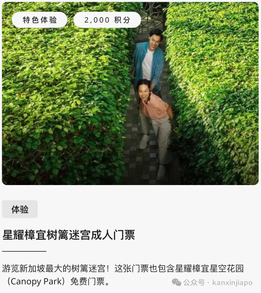 樟宜机场限定!手把手教你拿迪士尼游轮联名限定周边