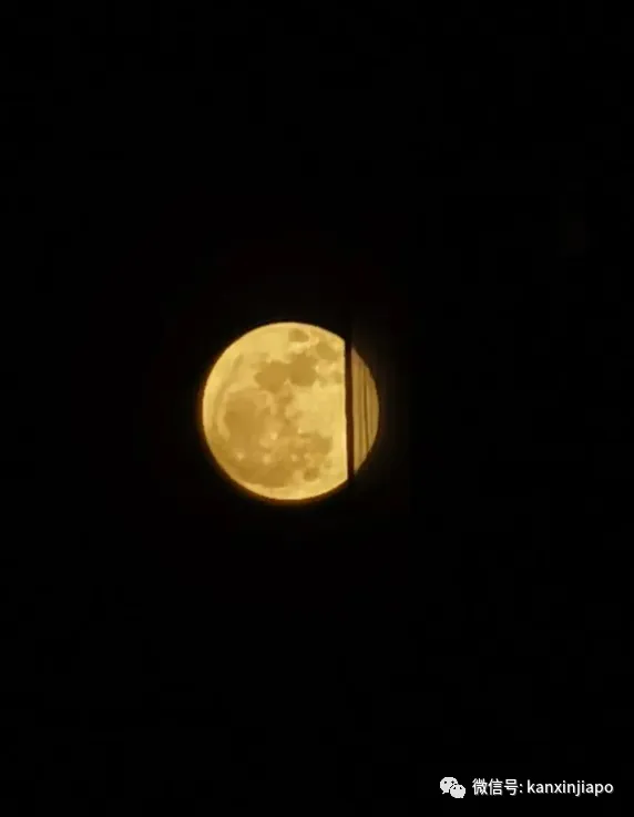 新加坡年度浪漫周来了，两波流星雨，还有续杯的超级月亮……