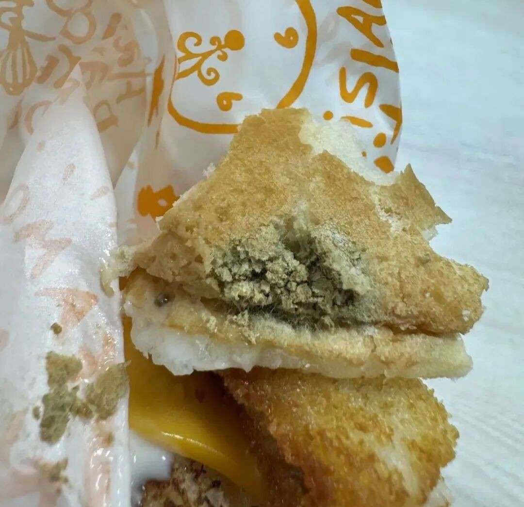 新加坡汉堡店被起诉：一口下去汉堡竟已发霉
