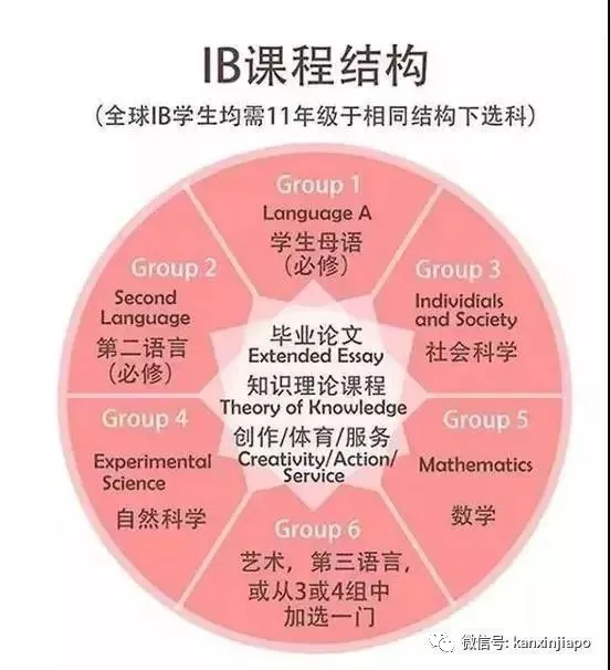 新加坡IB成绩出炉:比全球平均分高9分,拿下亚太高分区半壁江山