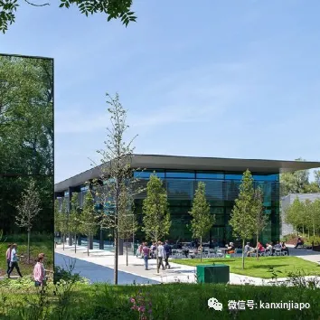 戴森6.2亿英镑资产转移新加坡，英国公司只剩1英镑！
