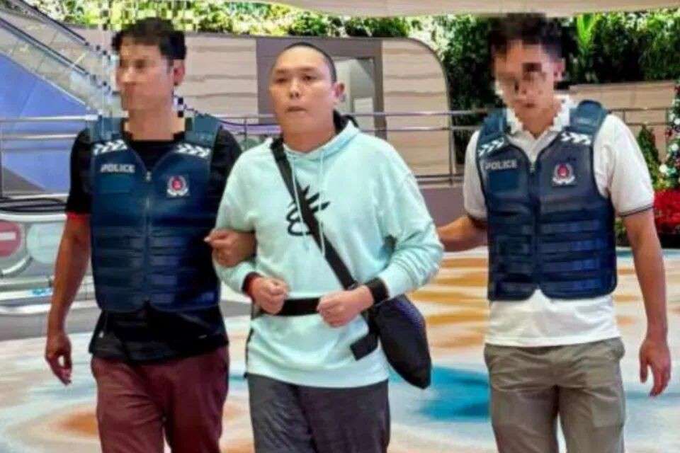 亲哥表哥女友全拉下水！柬埔寨诈骗集团又一新加坡成员落网