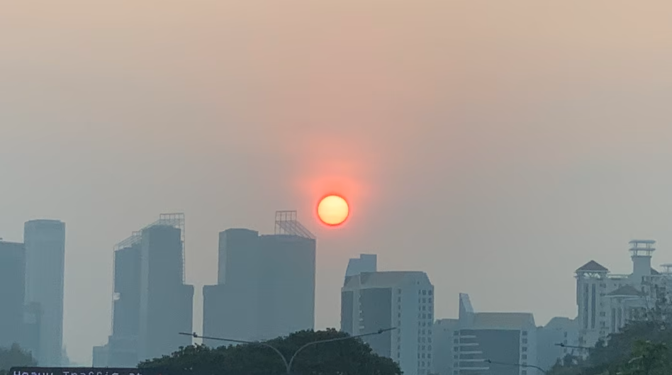 新加坡多地有烧焦味!网友炸锅:烟霾又来了?环境局紧急回应