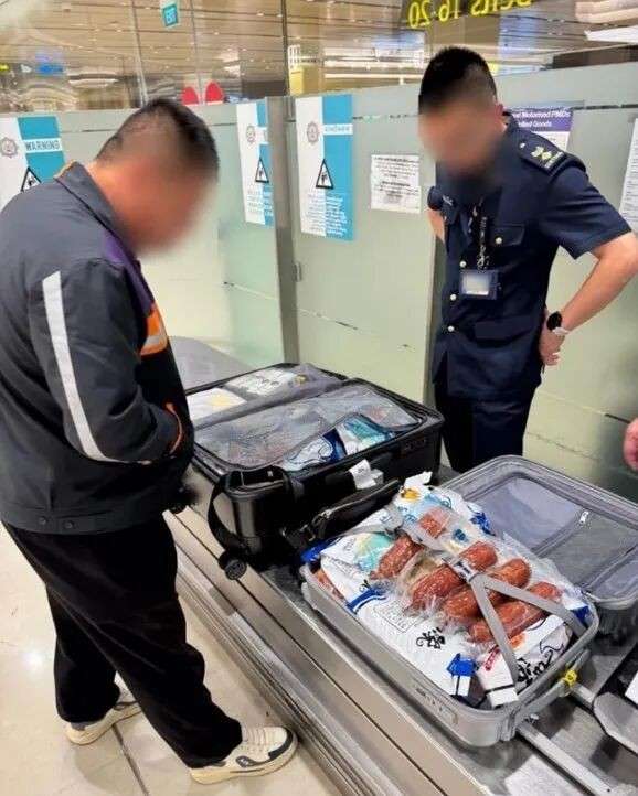 新加坡关卡突然严查!一周70多人中招,有人带百叶窗、智能手表也被罚