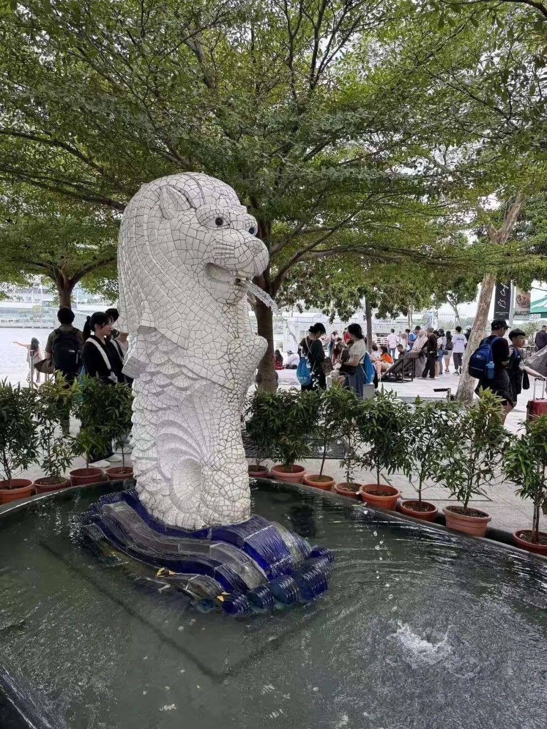 穷游新加坡:鱼尾狮公园教科书级别逛法,周边还有隐藏彩蛋