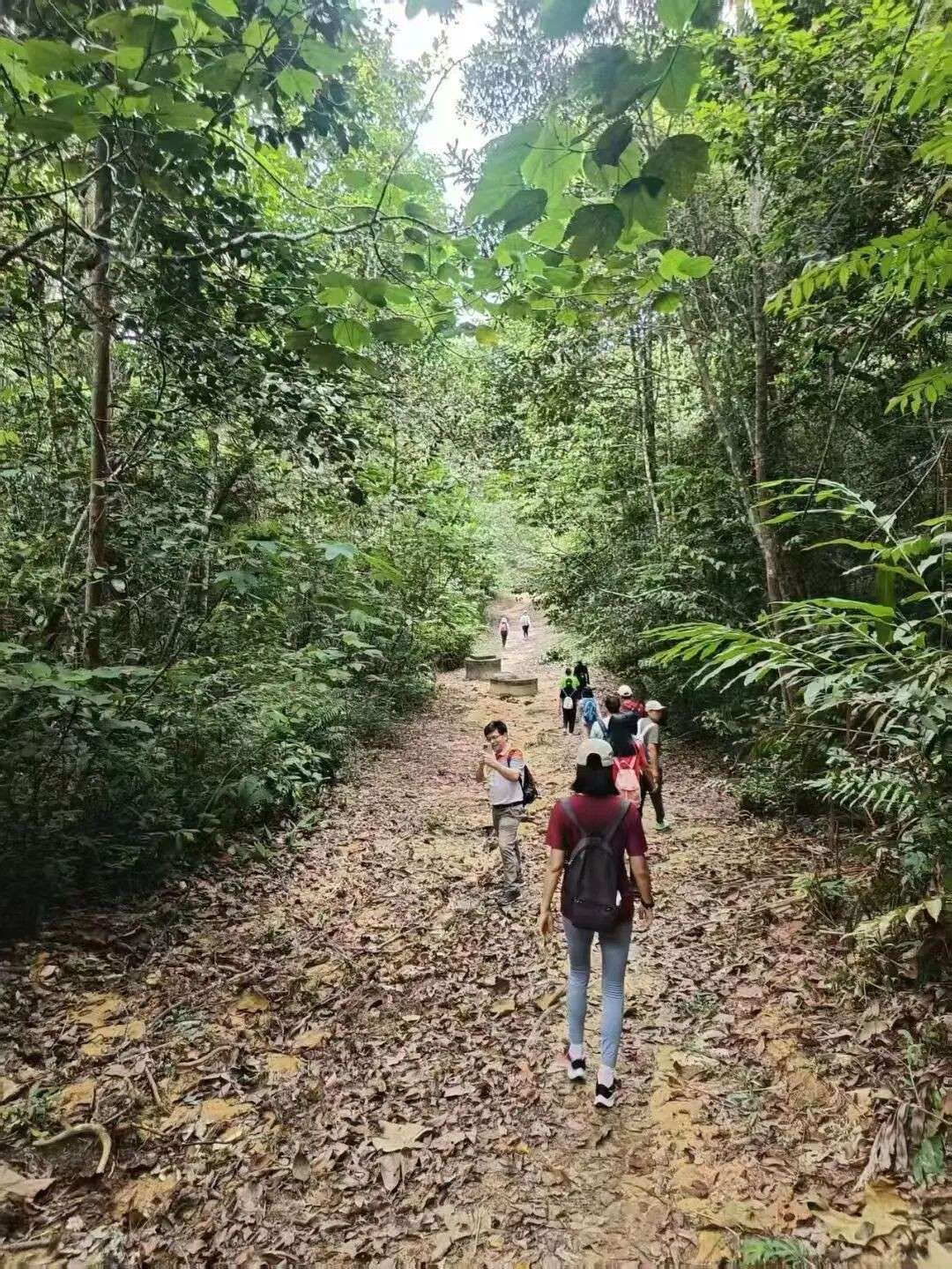 新移民知名人士李叶明溘然长逝，新加坡多人悼念