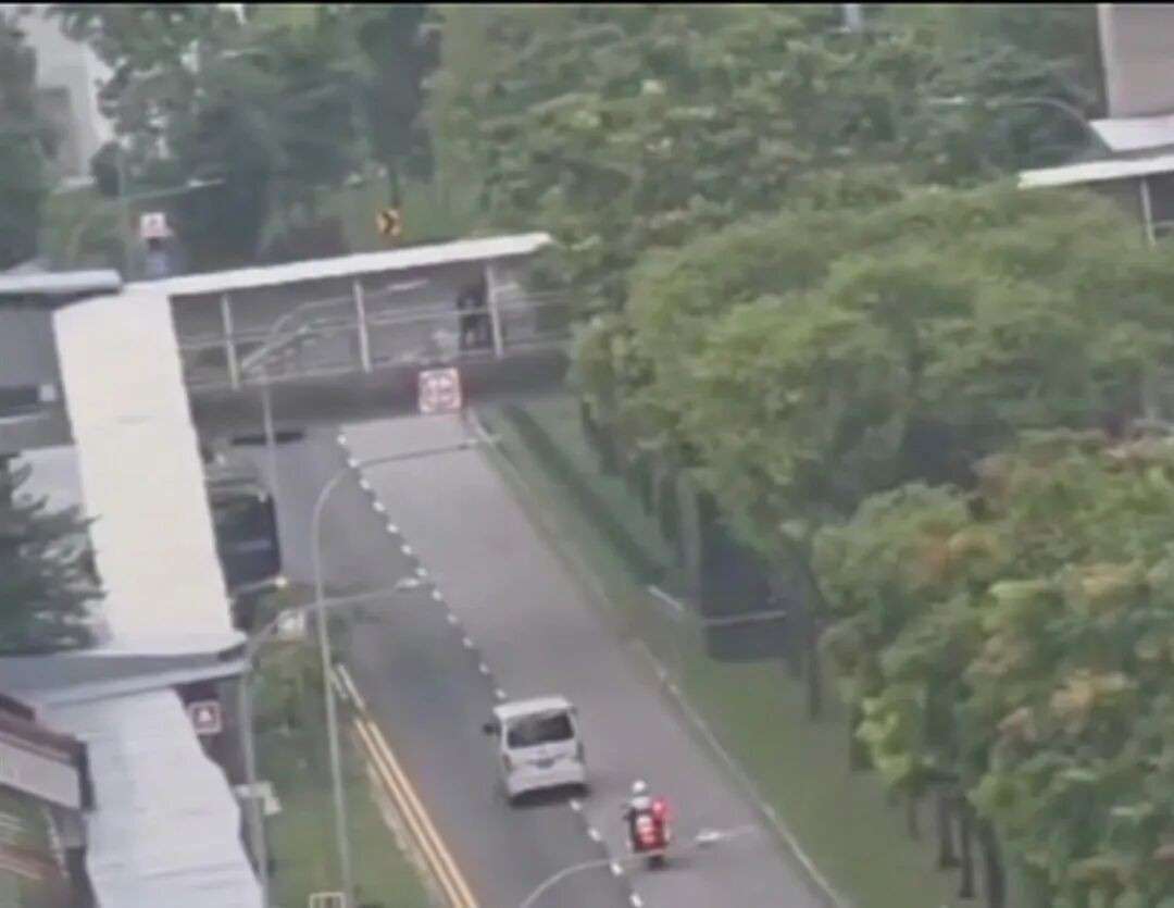 新加坡街头上演追逐战,货车撞伤交警后狂飙半小时一头冲向绿化带