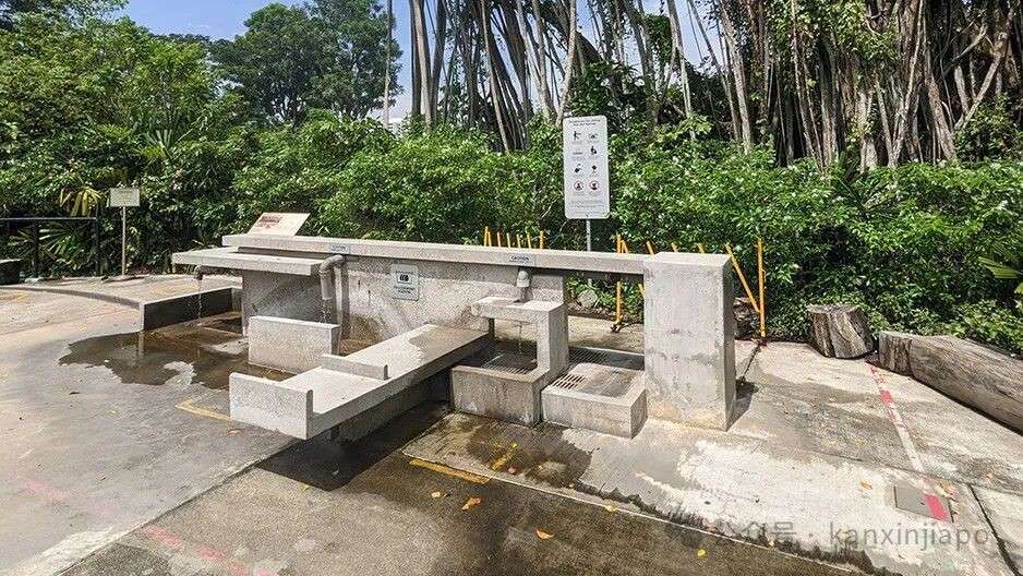 新加坡遛娃地图全公开，环球影城、海洋生态馆…好玩到不想回家