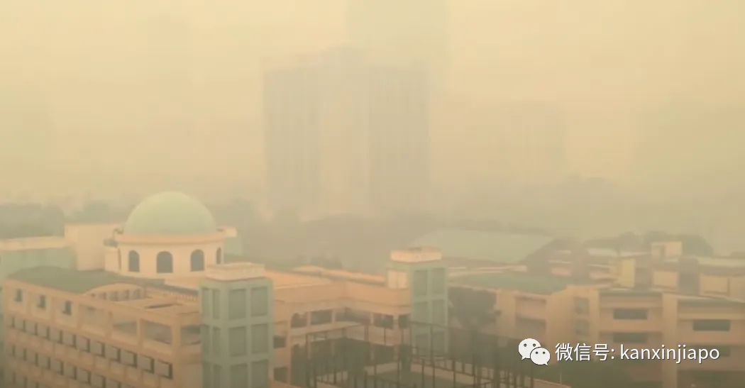 新加坡多地有烧焦味!网友炸锅:烟霾又来了?环境局紧急回应