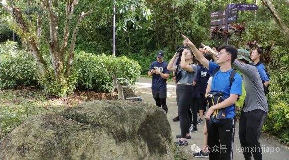 【下周活动】开年王炸！艺术节、车展、未来机场…新加坡玩疯了