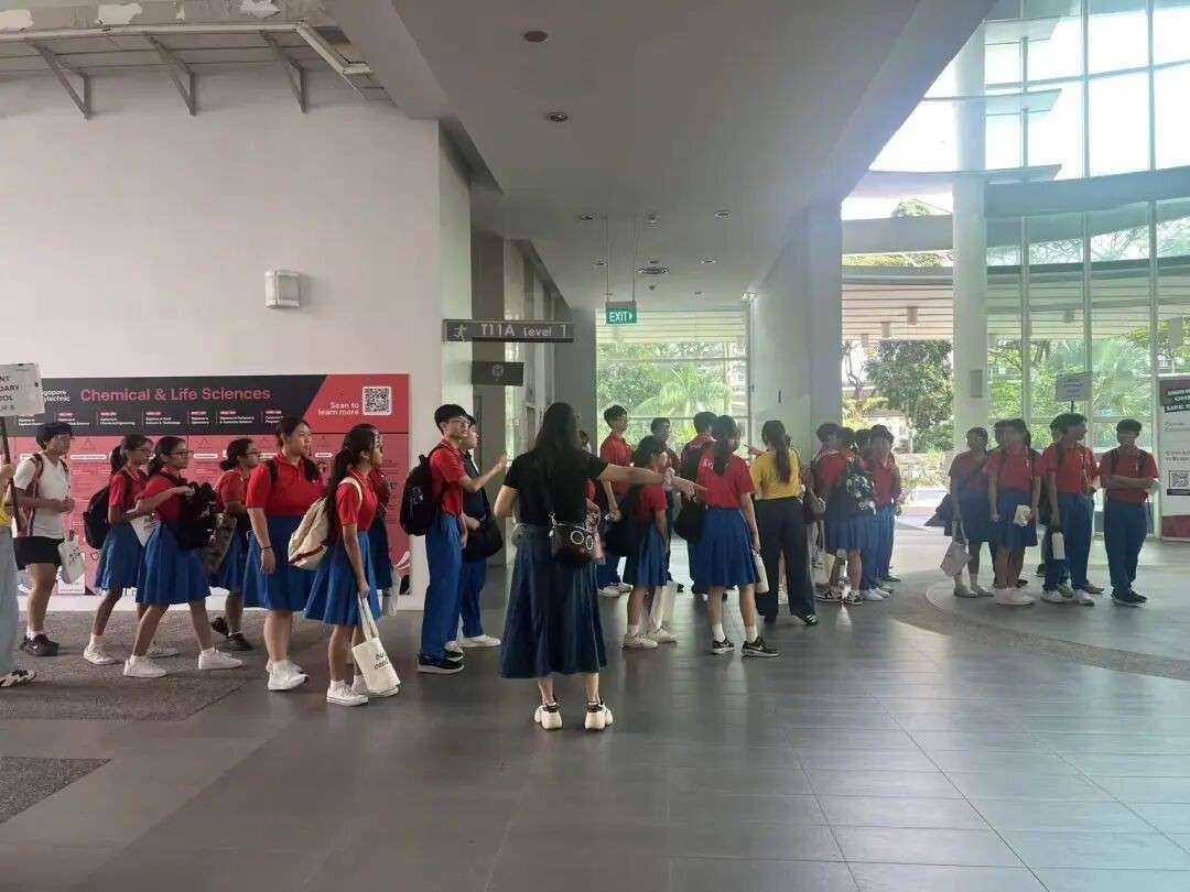 新加坡理工学院开放日现场直击!解锁从校园到名企的高效路径