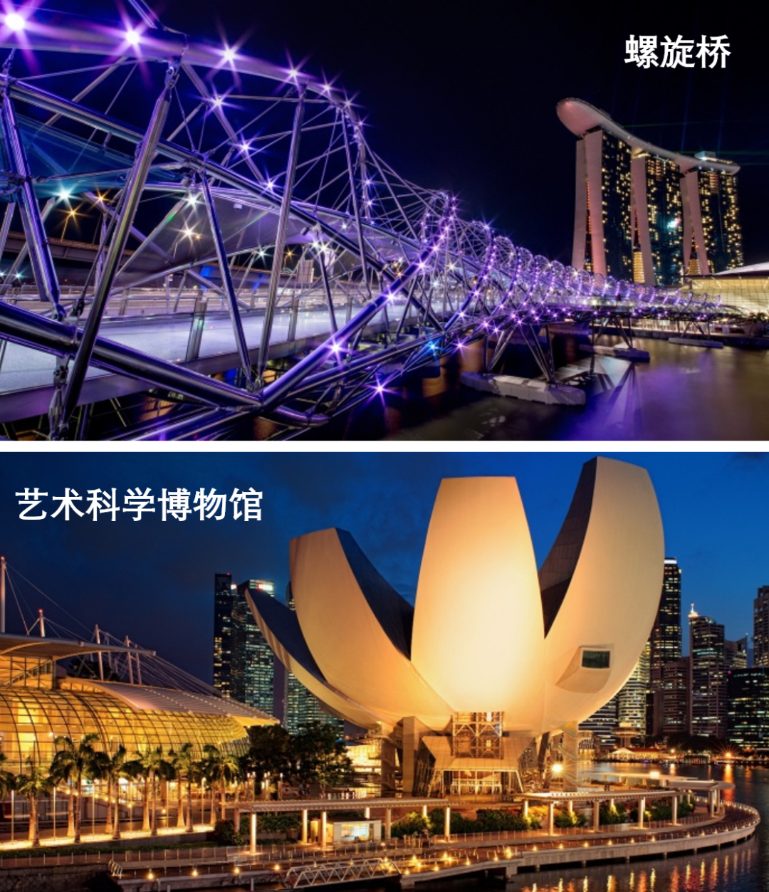 穷游新加坡:鱼尾狮公园教科书级别逛法,周边还有隐藏彩蛋
