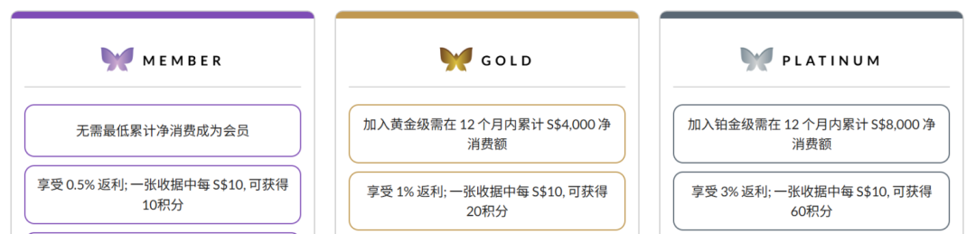 春节前后，樟宜机场比你想象的热闹很多