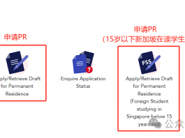 在读留学生如何申请新加坡PR?关键是这几点