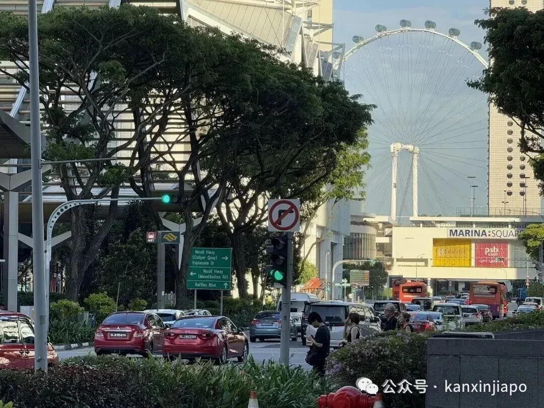 拥车证大降归档- 新加坡眼