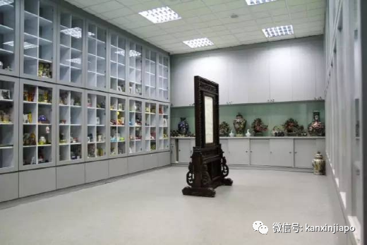 在新加坡养的宠物不幸去世了，我该怎么安葬它？