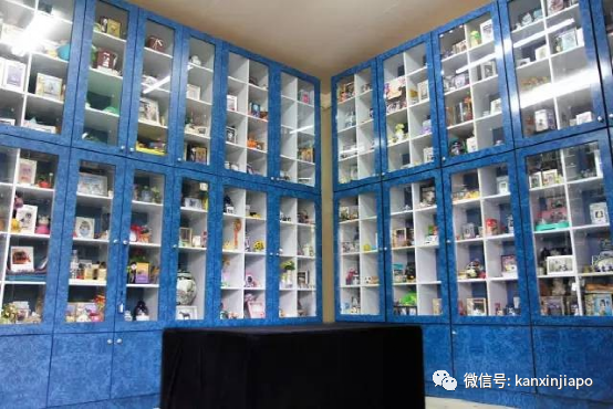在新加坡养的宠物不幸去世了，我该怎么安葬它？