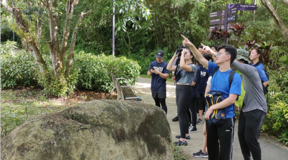 周末溜娃新去处!滨海湾花园推出两项全新自然之旅