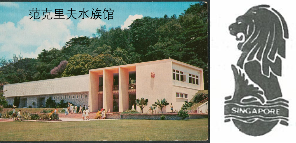 穷游新加坡:鱼尾狮公园教科书级别逛法,周边还有隐藏彩蛋