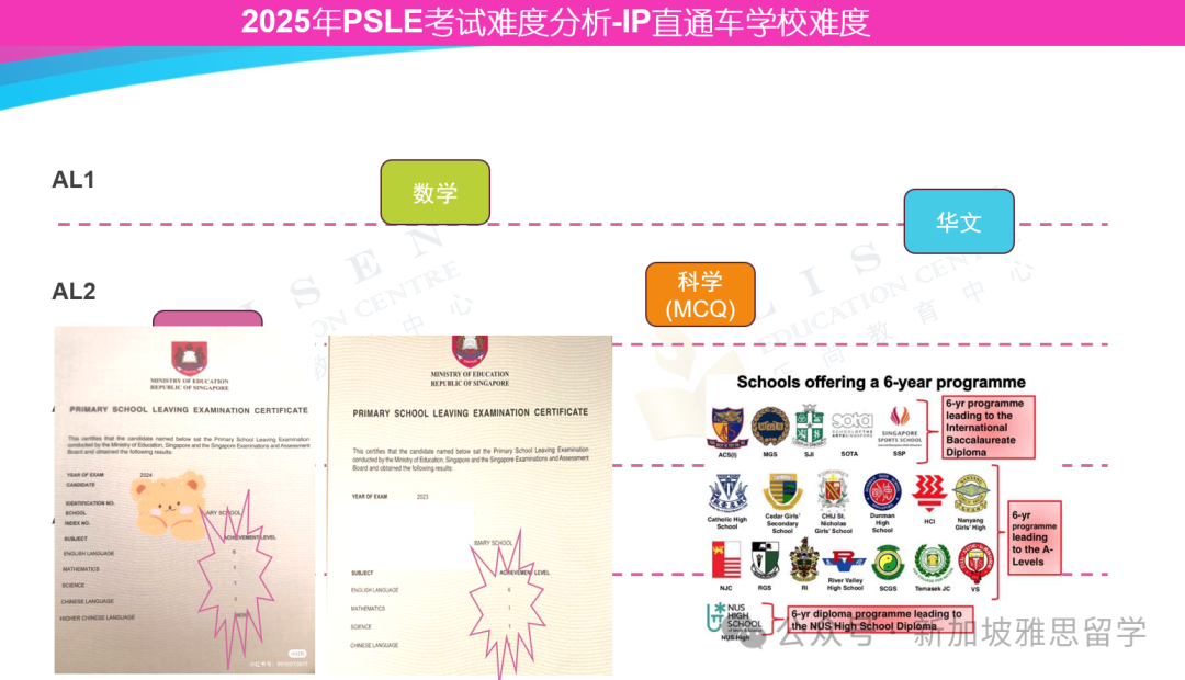 仅差1%!马年P6人数逼近龙年,今年PSLE会更卷吗?