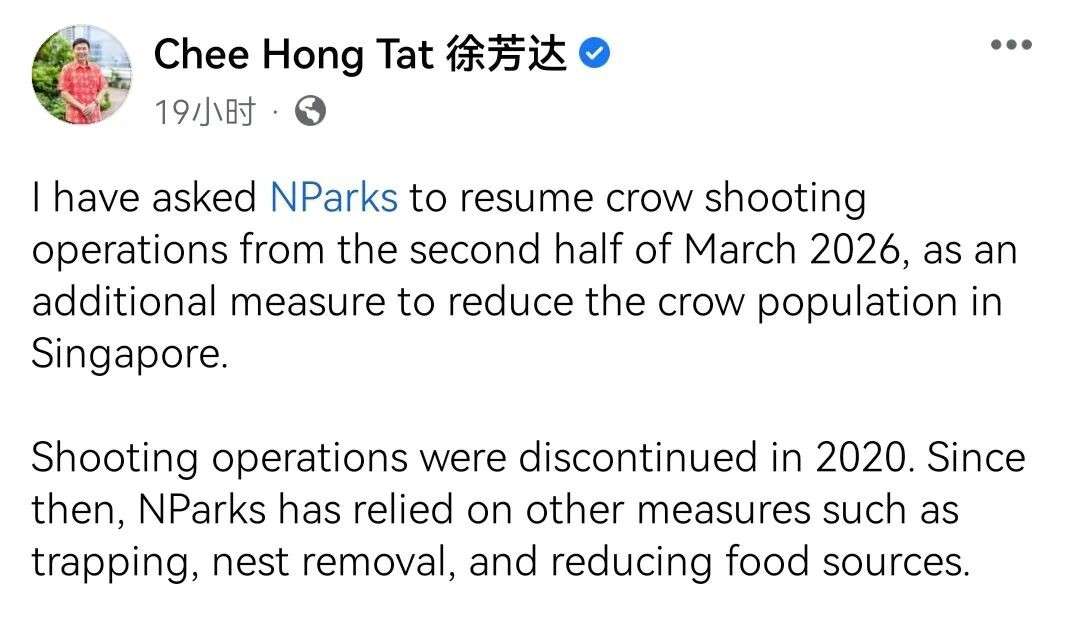 从5000到15000!乌鸦投诉暴涨,新加坡被迫重启“射杀模式”