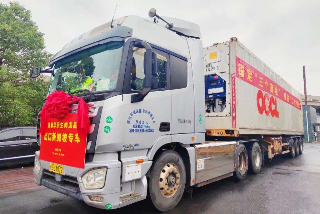 中国冰鲜猪肉，正式进新加坡了