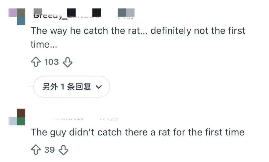 乌节路食阁惊现老鼠“从天而降”！掉进餐盘，员工徒手秒抓画面曝光！