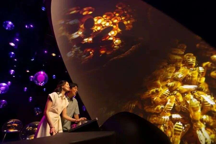 光影+互动+野生动物!东南亚最大自然互动室内探险世界即将开幕