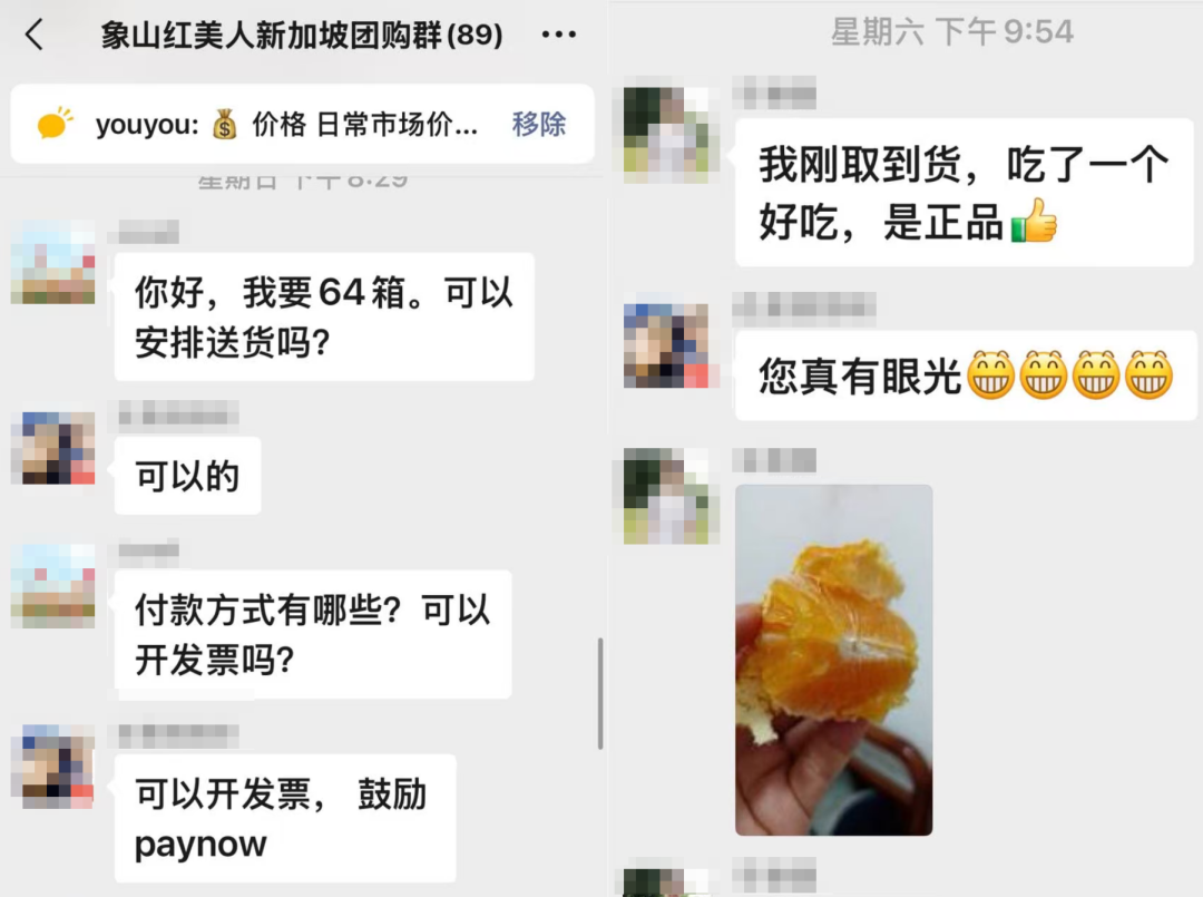 七成出口新加坡!“一售而空”的象山红美人,背后是谁在推动?