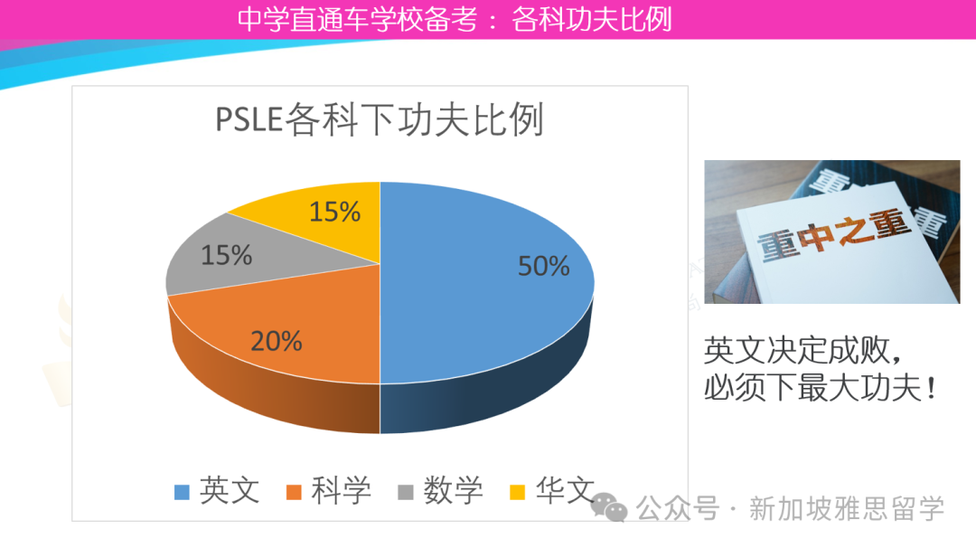 仅差1%!马年P6人数逼近龙年,今年PSLE会更卷吗?