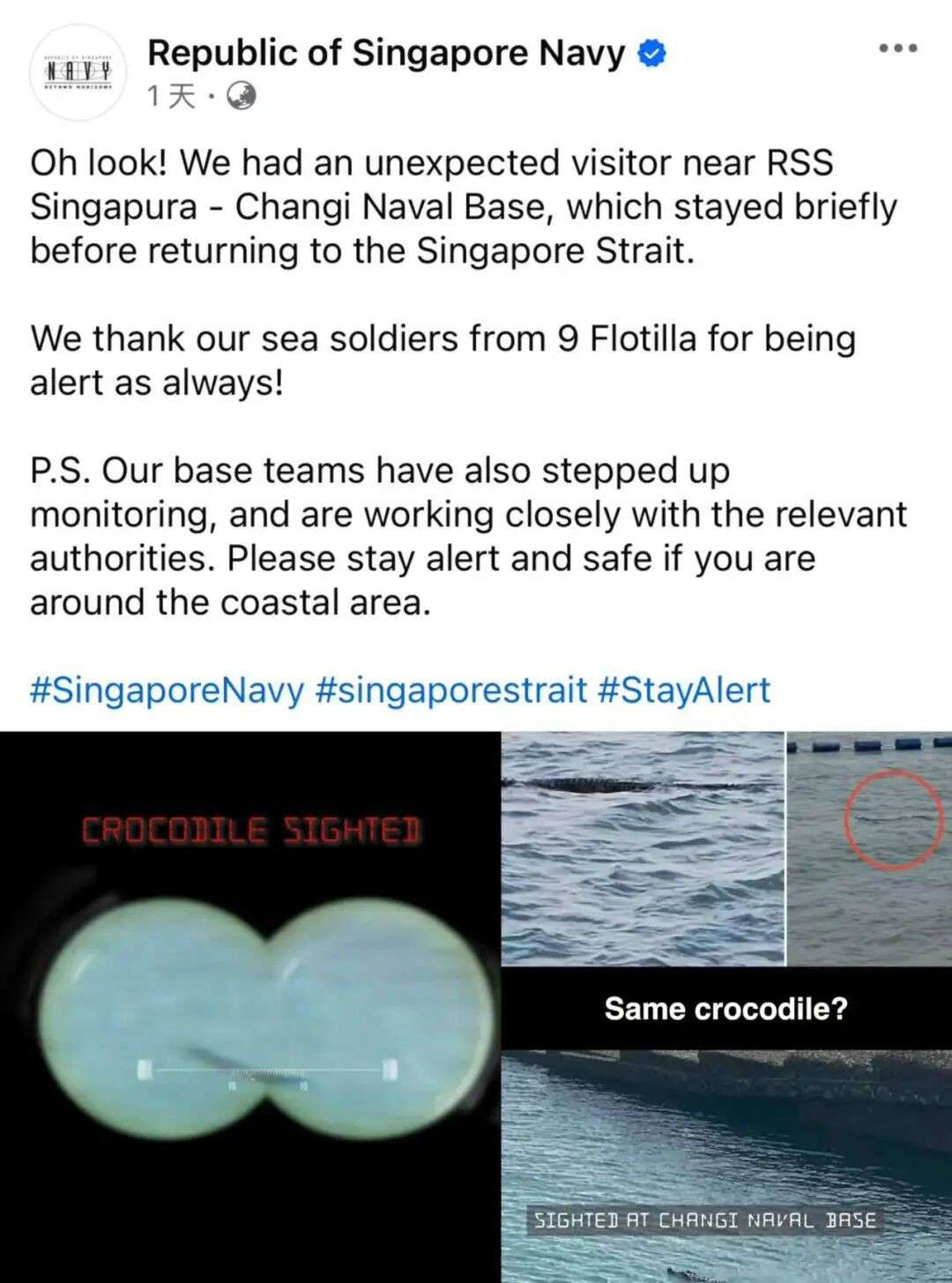 又一条鳄鱼现身新加坡海域！这次在樟宜海军基地附近