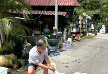 水獭、猴子、鸡、野猪…… 这次连大鹅都跑新加坡大街上了