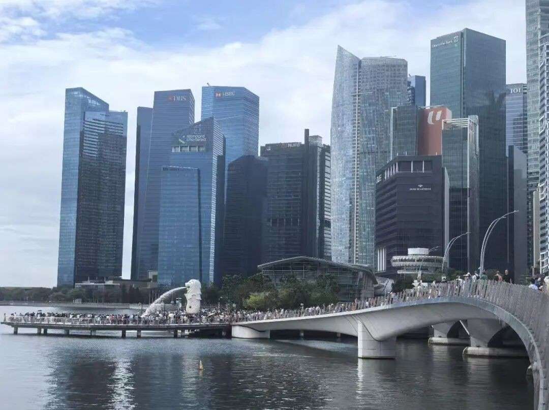 贵，但还是要来！中国游客春节挤爆新加坡