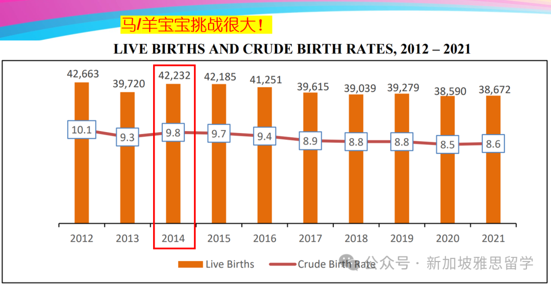 仅差1%!马年P6人数逼近龙年,今年PSLE会更卷吗?