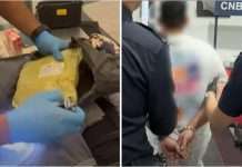 粉色行李箱藏“毒粉”入境!外籍男子带1公斤违禁物在新加坡被当场抓获