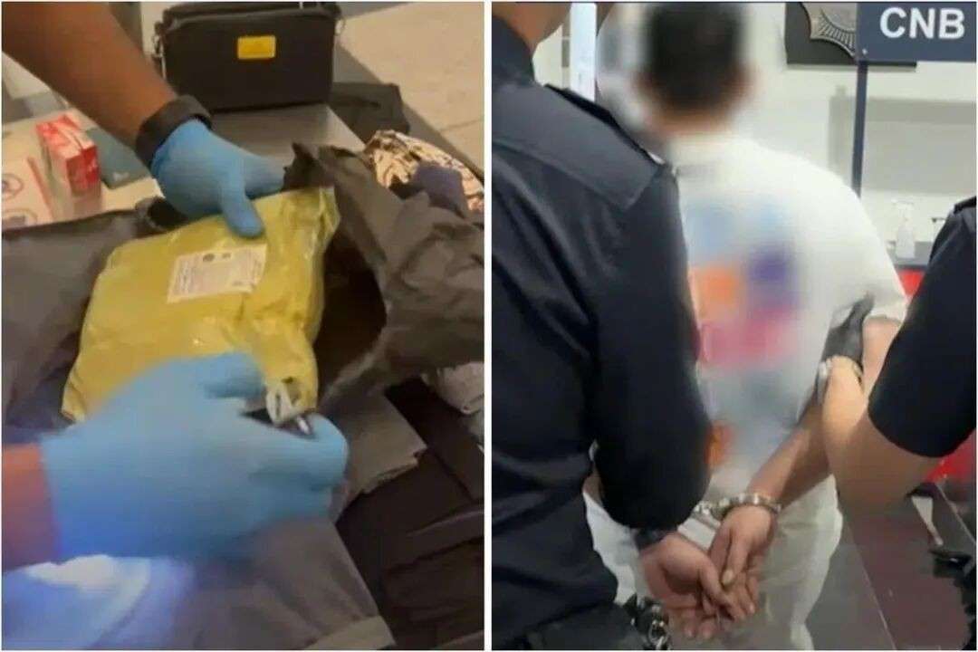 粉色行李箱藏“毒粉”入境！外籍男子带1公斤违禁物在新加坡被当场抓获
