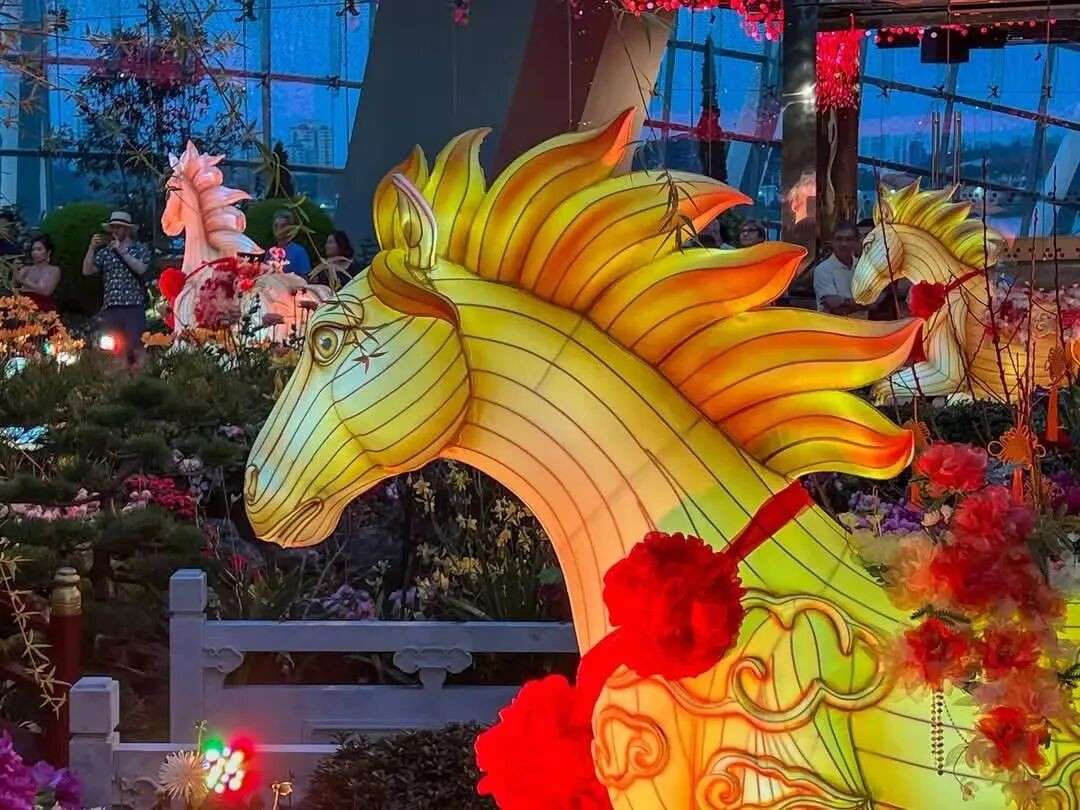 新加坡大年初一气温降至22℃!领导人集体拜年!黄循财秀书法、李显龙拍大片...