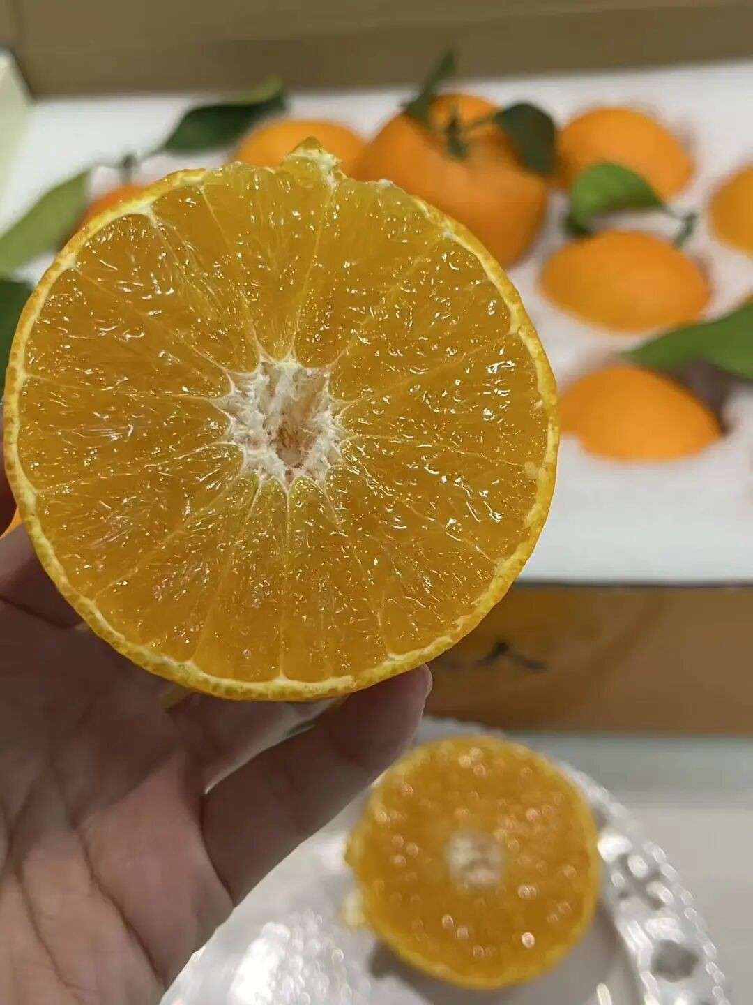 实探多家餐厅,新春年夜饭人均$20到米其林都有