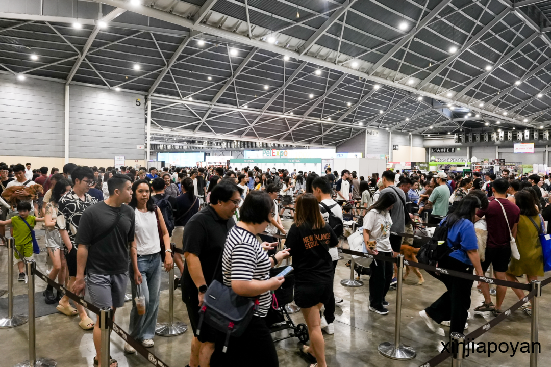 【下周活动】创意市集、复活节免费活动、音乐剧都有~