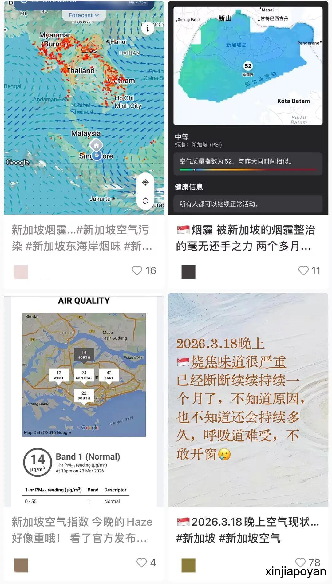 凌晨被烟味熏醒,白天被高温烤晕!新加坡人太难了...