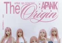 谁的青春没有《NoNoNo》?Apink4月来新加坡开唱