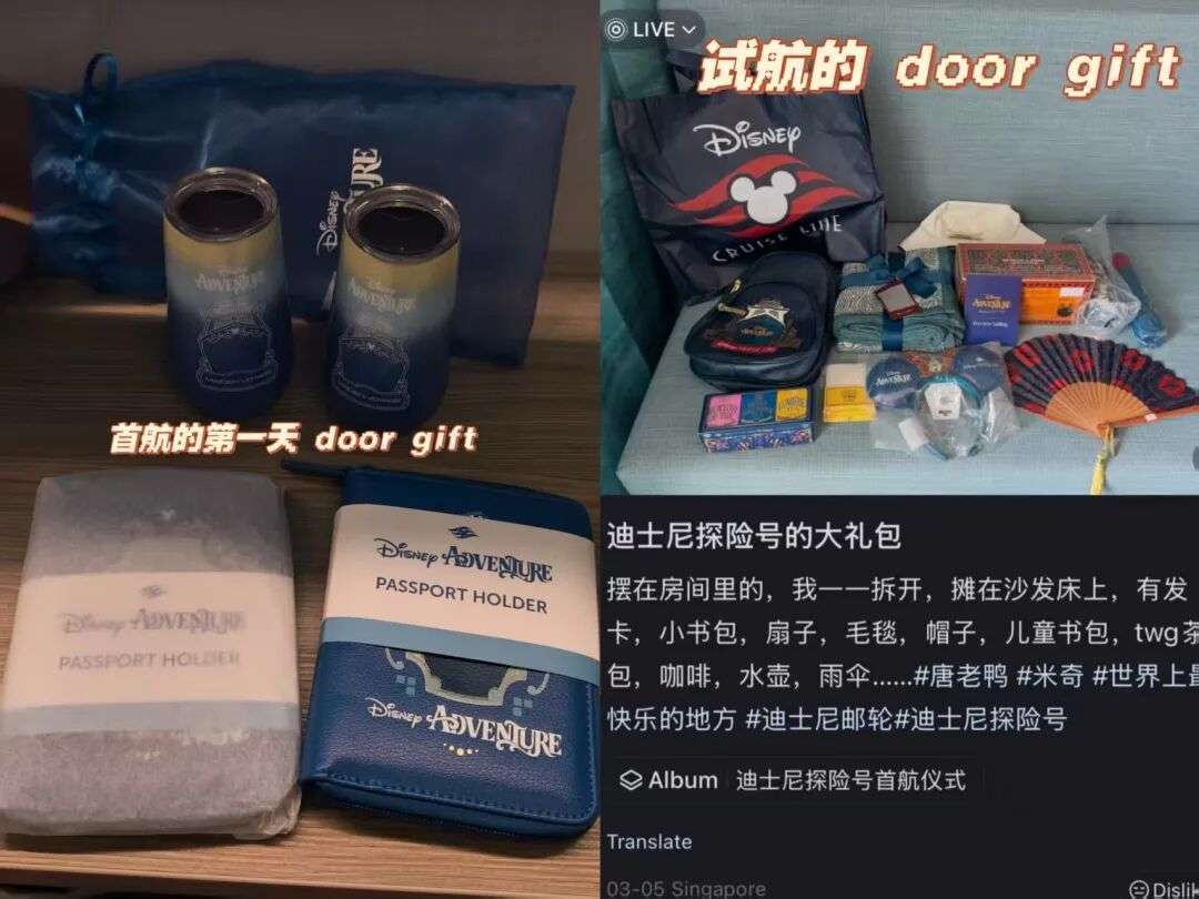 新加坡迪士尼游轮首航翻车？房间漏水、过山车没开、系统崩溃…网友吐槽刷屏