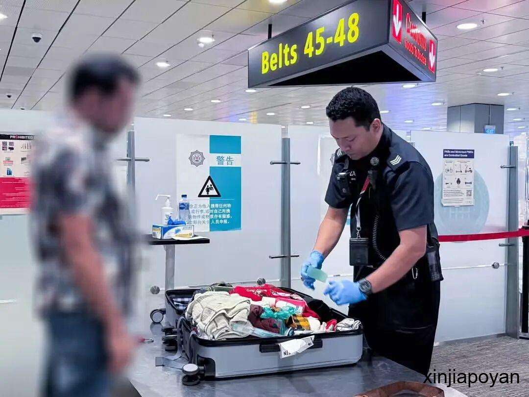 来新加坡千万别带这个!四天42人中招,有人直接被禁入境
