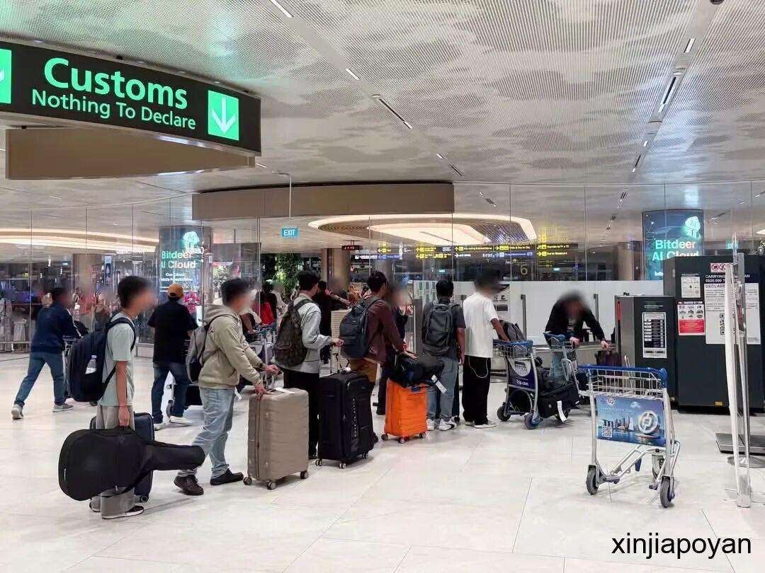 来新加坡千万别带这个!四天42人中招,有人直接被禁入境