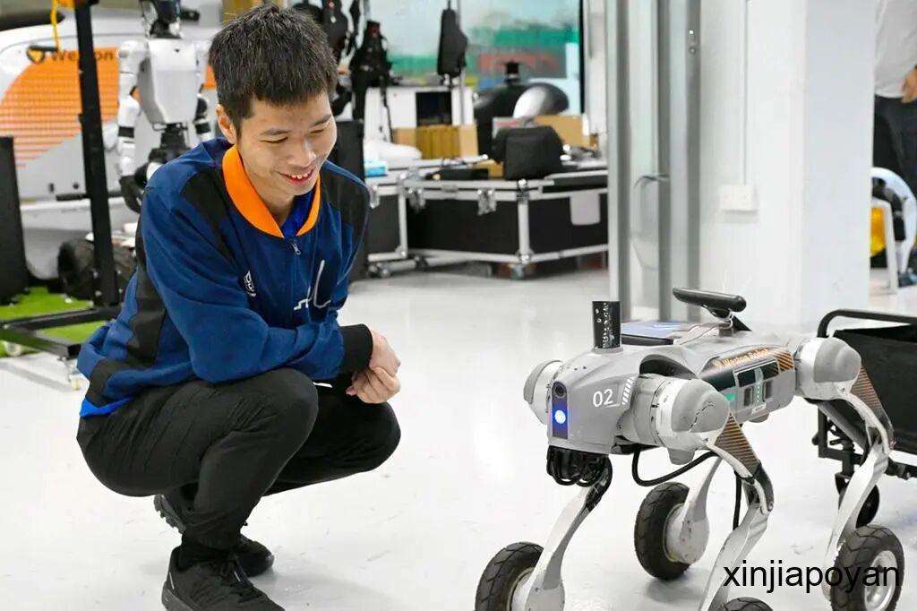 【下周活动】水豚宝宝百日宴、RoboFest机器人派对、周兴哲演唱会...