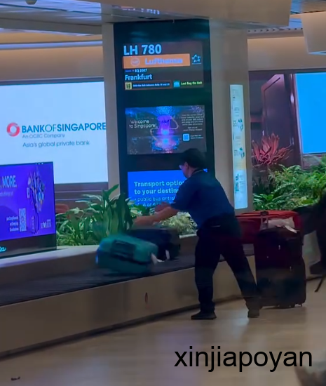 樟宜机场员工暴力扔行李箱视频疯传！官方紧急道歉后，反转来了...