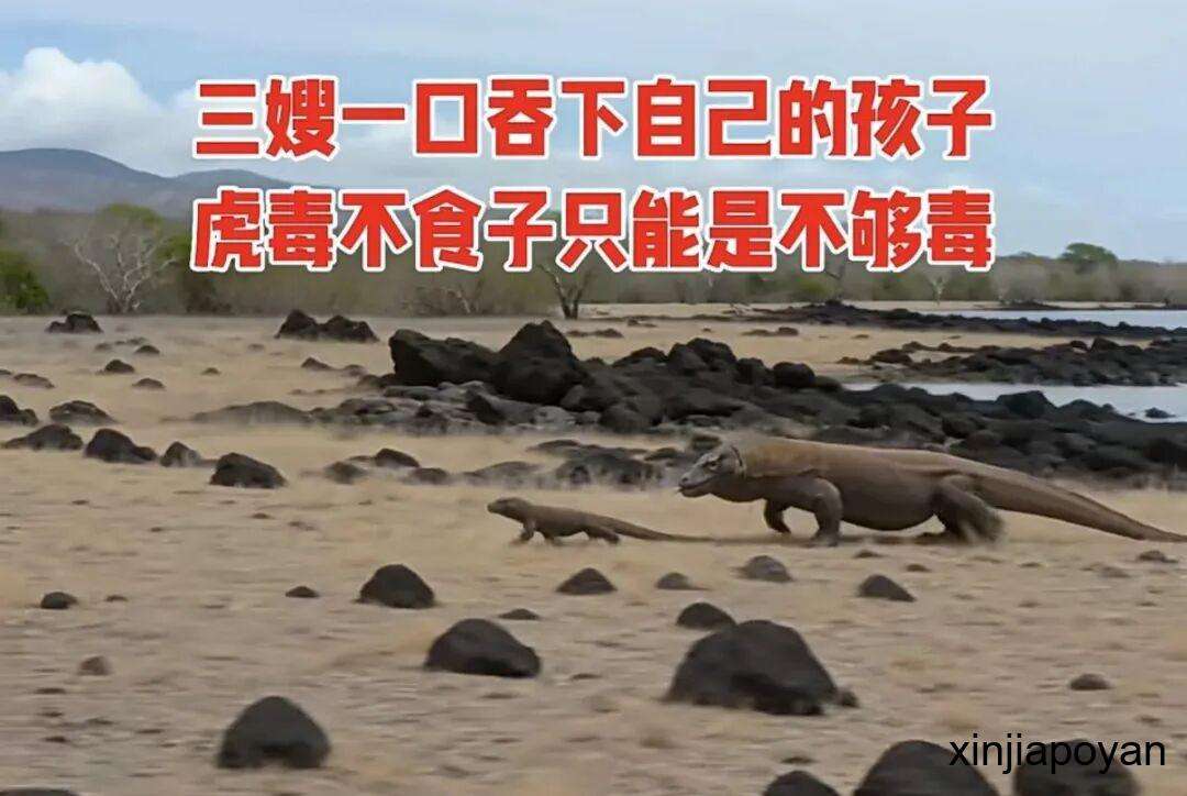 盛传“美国两大罪名针对新加坡,这次彻底躲不过去了”