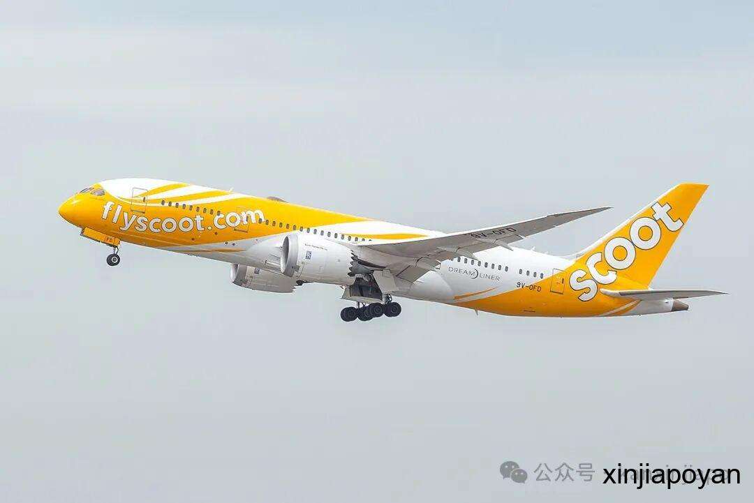 新加坡首季迎客443万,酷航登顶全球最环保航空