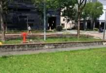 马哥目击女佣遭三哥侵犯,非但不报警反而….. 法官怒斥:毫无人性
