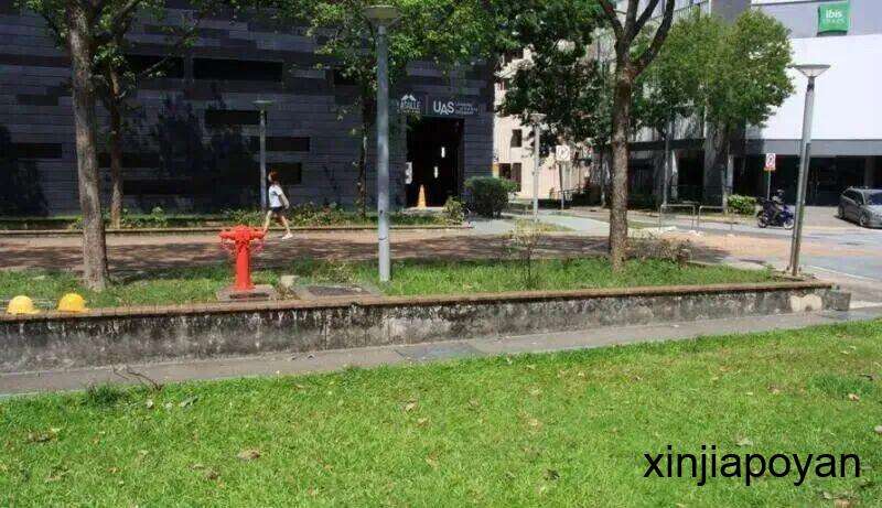 马哥目击女佣遭三哥侵犯,非但不报警反而….. 法官怒斥:毫无人性